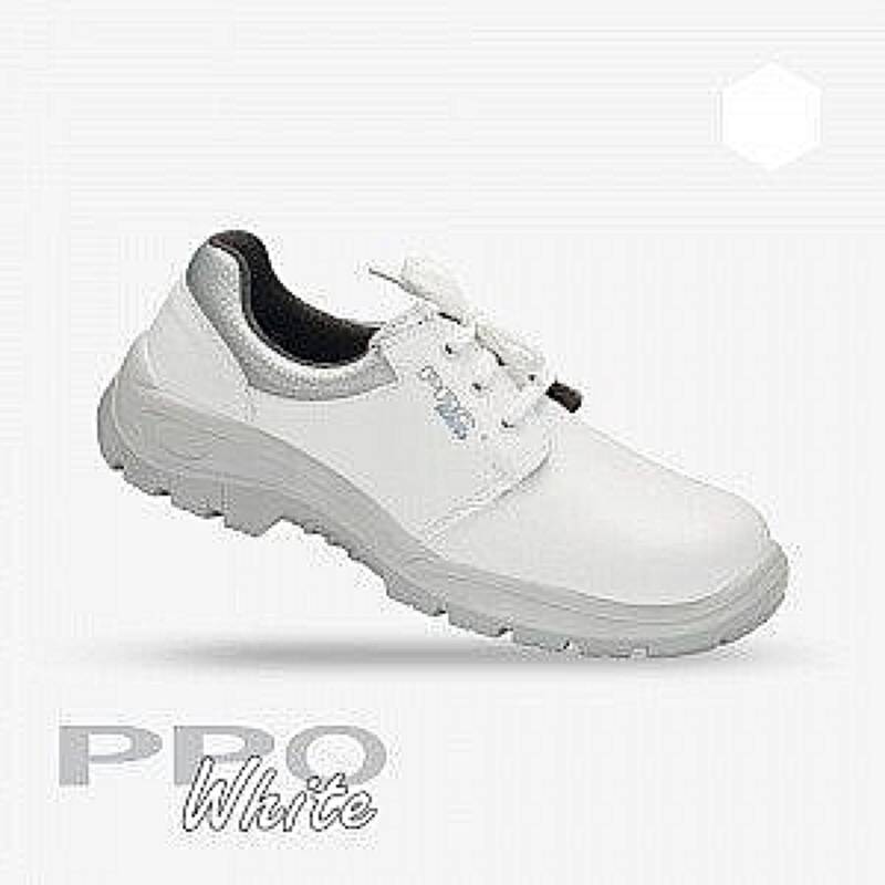 PPO 204 1