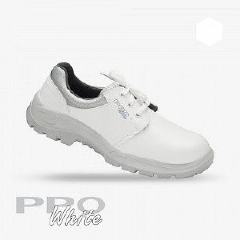 PPO 204 1