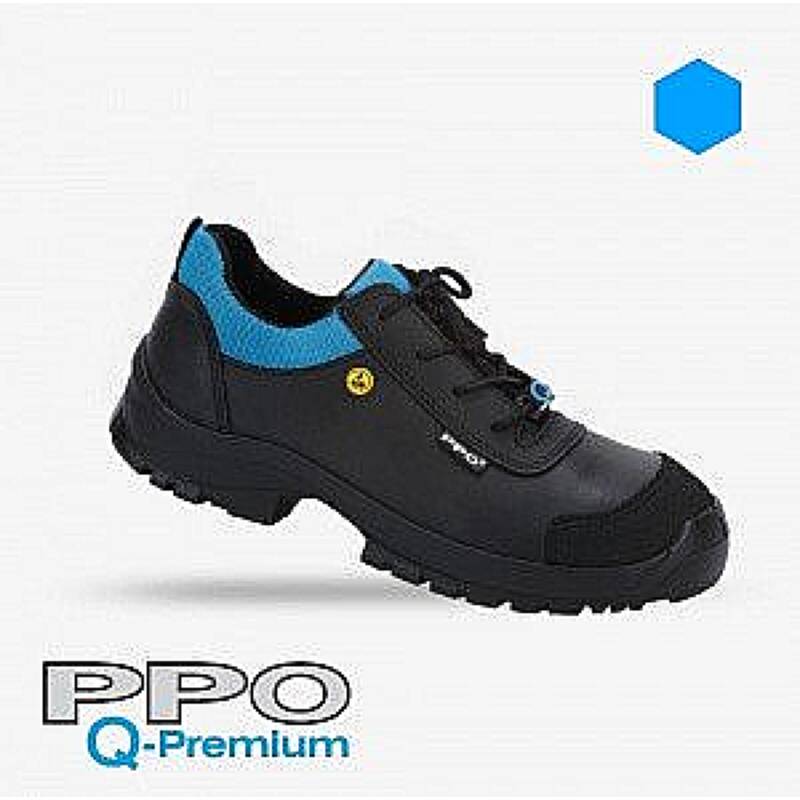 PPO Q4LG 1