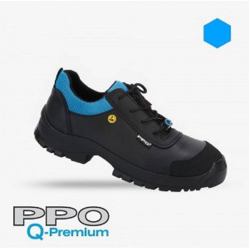 PPO Q4LG 1