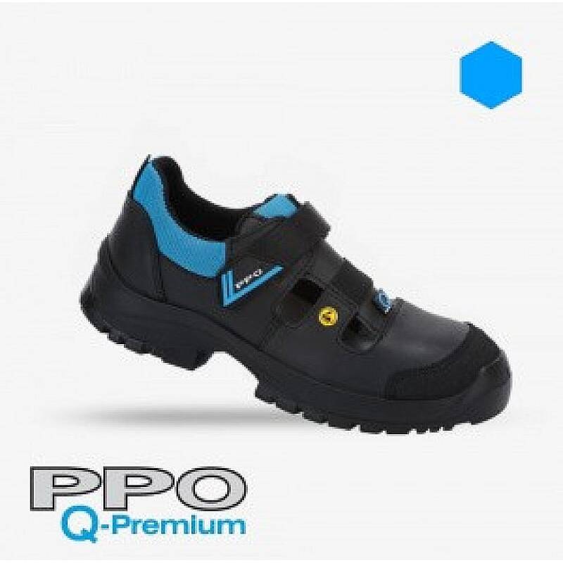 PPO model Q2LG S3 1